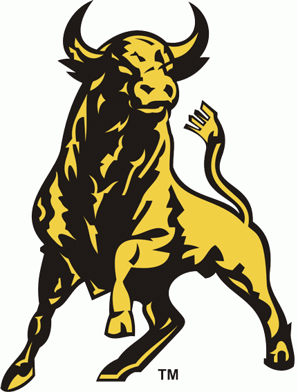 Belleville Bulls 1981-pres alternate logo v2 iron on heat transfer